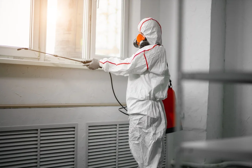 Professional mold remediation services in Coon Valley, WI